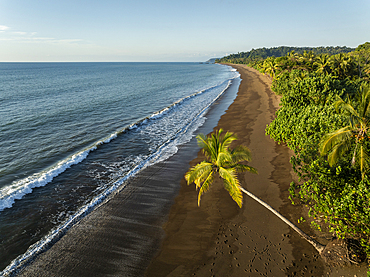 Aerial view of Drake Bay, Puntarenas Province, Costa Rica, Central America