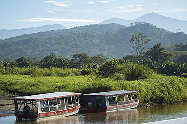 Tarcoles River, Garabito, Puntarenas Province, Costa Rica, Central America