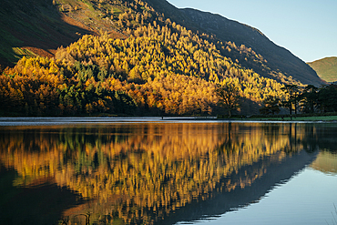 Buttermere at dawn, Lake District National Park, UNESCO World Heritage Site, Cumbria, England, United Kingdom, Europe