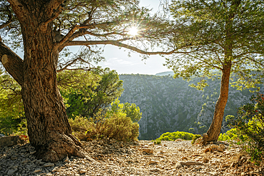 Calanque d'En-Vau in Calanques national park, Cassis, Bouches-du-Rhone, French Riviera, Provence-Alpes-Cote d'Azur, France