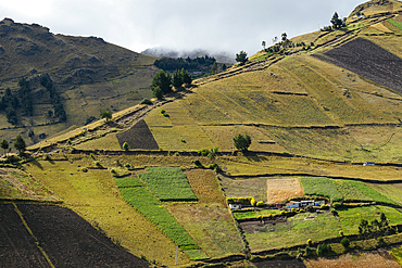 Cotopaxi Province, Ecuador