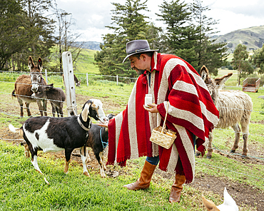 Pablo with his farm animals, Posada de Tigua, Cotapaxi Province, Ecuador