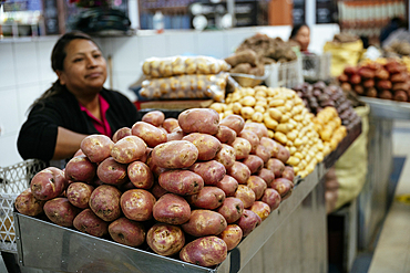 San Francisco Market, Quito, Ecuador