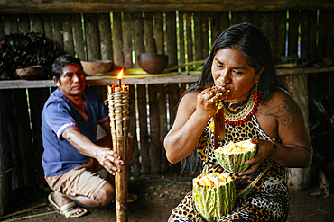 Guayusa Upina Ceremony, Sinchi Warmi, Amazonia, Napo Province, Ecuador