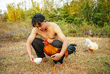 Tai feeding his hens, Lê Bát, Phu Quoc Island, Vietnam