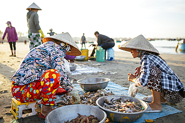 Mui Ne Fish Market at dawn, Mũi Né, Bình Thuận Province, Vietnam