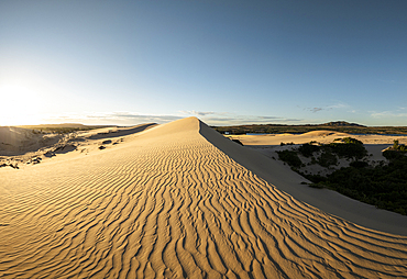 White Sand Dunes, Mũi Né, Bình Thuận Province, Vietnam