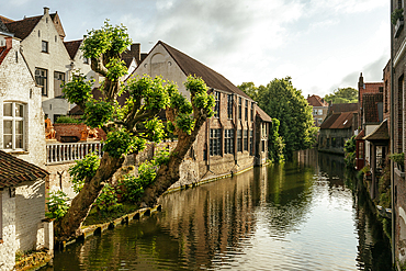 Early morning light on canal, Old town, Bruges, Belgium