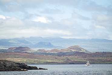 Isla Bartholomé, Galapagos Islands, Ecuador