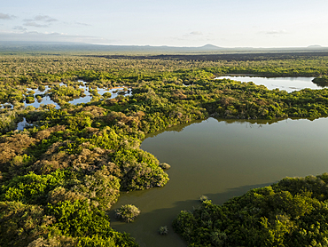 Isla Isabela, Galapagos Islands, Ecuador