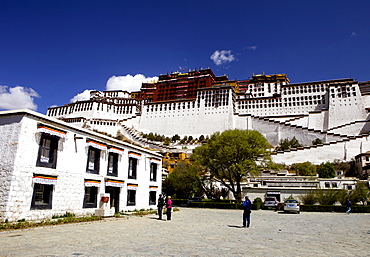 The Potala Palace, UNESCO World Heritage Site, Lhasa, Tibet, China, Asia 