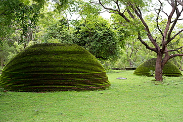 A moss covered dagoba dome in the Kiri Vihara temple ruins at Polonnaruwa, UNESCO World Heritage Site, Sri Lanka, Asia