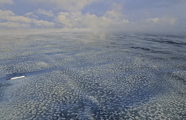 A steaming sea with grease ice and small pancake ice. Nearby Ross Island, Ross Sea, Antarctica.