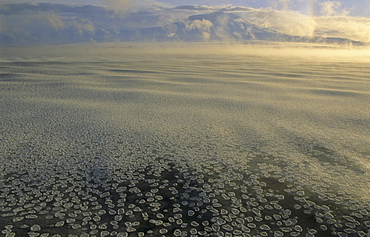 Grease ice and small pancake ice. Nearby Ross Island, Ross Sea, Antarctica.