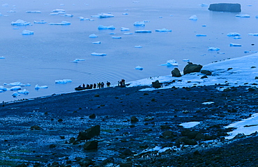 Landing on the Antarctic continent. Brown Bluff, Antarctic Sound, Antarctica