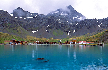 View onto the former whaling station of Grytviken . Grytviken, South Georgia, Subantarctic