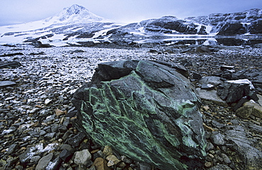 Copper precipitation on basaltic rock. Horseshoe Island, Antarctic Peninsula