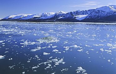 Liefdefjorden filled with glacier ice fragments. Northern Spitsbergen 