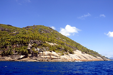 Granite and plam trees, coastal scenery, Mahe, Seychelles, Indian Ocean