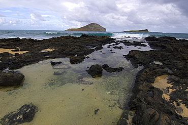 Tide pool and Manana Ialnd (Rabbit Island), Oahu, Hawaii, United States of America, Pacific