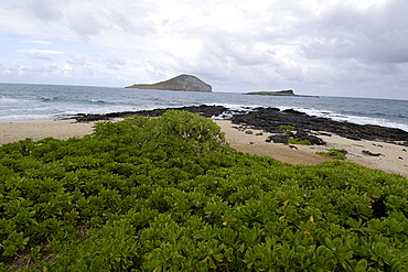 Manana Island (Rabbit Island), Oahu, Hawaii, United States of America, Pacific