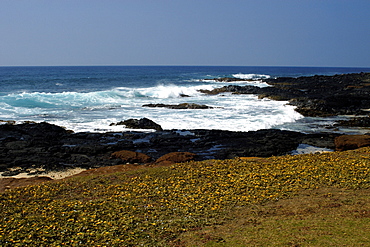 South shore, Big Island, Hawaii, United States of America, Pacific