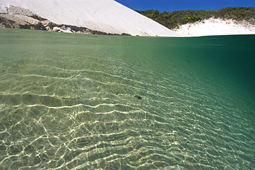 Sand dunes filled with rain water, Lencois Maranhenses, Maranhao, Brazil, South America