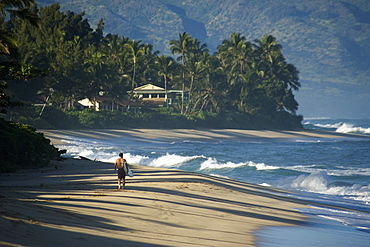 Surfer walks along the beach, North shore, Oahu, Hawaii, United States of America, Pacific