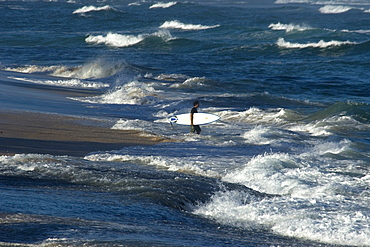 Surfer enters rough sea, North shore, Oahu, Hawaii, United States of America, Pacific