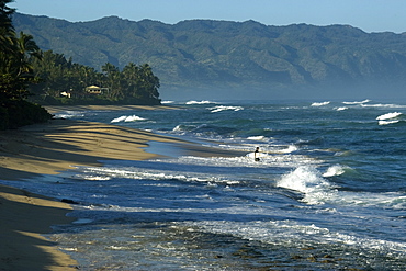 Surfer enters rough sea, North shore, Oahu, Hawaii, United States of America, Pacific