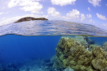 Pristine coral reef and island, Pohnpei, Federated States of Micronesia, Caroline Islands, Micronesia, Pacific Ocean, Pacific