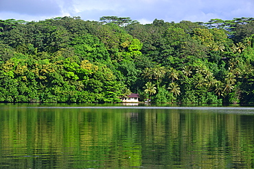 Coastal house and jungle, Pohnpei, Federated States of Micronesia, Caroline Islands, Micronesia, Pacific Ocean, Pacific