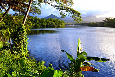 View of lagoon, mangrove and mountains near Kolonia,  Pohnpei, Federated States of Micronesia, Caroline Islands, Micronesia, Pacific Ocean, Pacific