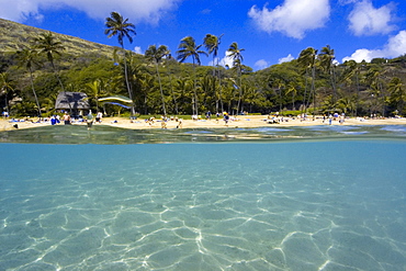 Split image of sandy substrate and beach, Hanauma Bay, Oahu, Hawaii, United States of America, Pacific