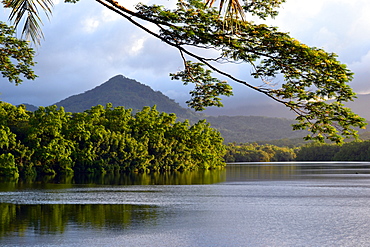 View of lagoon, mangrove and mountains near Kolonia,  Pohnpei, Federated States of Micronesia, Caroline Islands, Micronesia, Pacific Ocean, Pacific