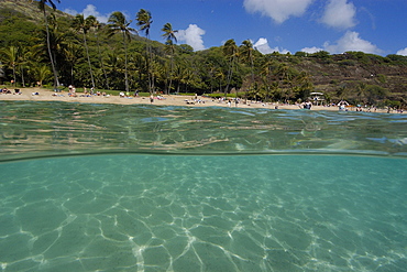 Split image of sandy substrate and beach, Hanauma Bay, Oahu, Hawaii, United States of America, Pacific