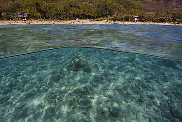 Split image of sandy substrate and beach, Hanauma Bay, Oahu, Hawaii, United States of America, Pacific