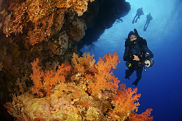 Mixed gas rebreather divers on coral reef.  Red Sea.