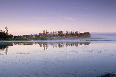 Masset, Graham Island, Queen Charlotte Islands, British Columbia (B.C.), Canada, North America