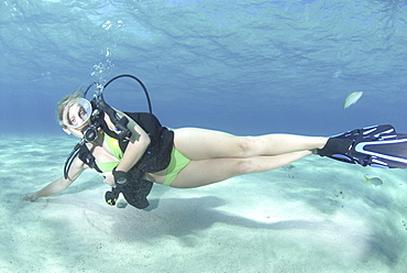 Bikini Diver at Stingray City Sandbar, Grand Cayman Island, Cayman Islands, Caribbean