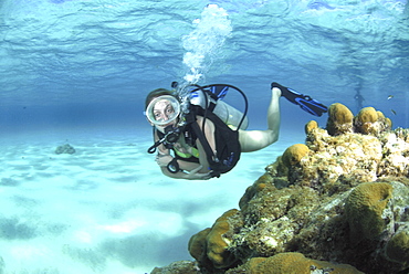 Bikini Diver at Stingray City Sandbar, Grand Cayman Island, Cayman Islands, Caribbean