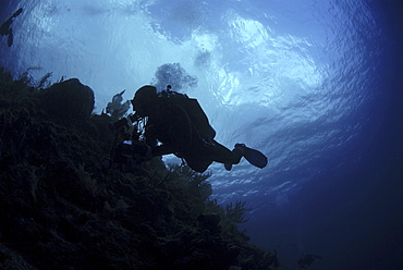 Diver in silhouette, Grand Cayman Island, Cayman Islands, Caribbean