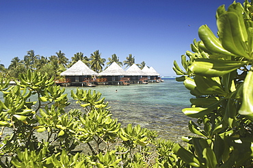 International Hotel, Beach apartments, Tahiti, French Polynesia