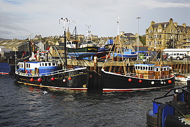 Colourful Dive Charter boats in Stromness harbour, Scapa Flow, Orkney Islands, Scotland, UK