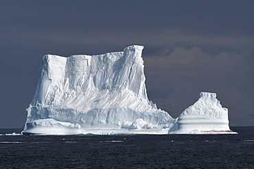 Iceberg with penguins against a blue sky, South Sandwich Islands, Polar Regions