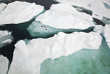 Open leads surrounded by multi-year ice floes in the Barents Sea between EdgeÂ¯ya (Edge Island) and Kong Karls Land in the Svalbard Archipelago, Norway.