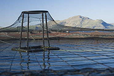 Salmon fish farm.  Hebrides, Scotland.