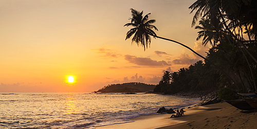 Palm tree at sunset on tropical Mirissa Beach, South Coast of Sri Lanka, Southern Province, Sri Lanka, Asia