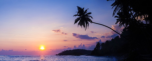 Palm tree at sunset on tropical Mirissa Beach, South Coast of Sri Lanka, Southern Province, Sri Lanka, Asia