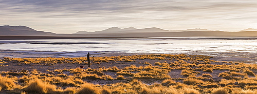 Photographer taking a photo at sunrise at Chalviri Salt Flats (Salar de Chalviri), Altiplano of Bolivia, South America